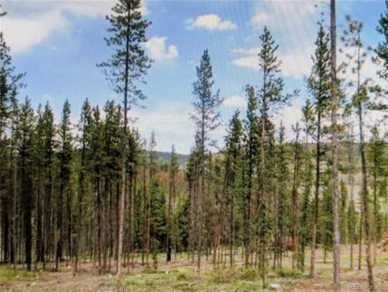 337 County Road 5221 Lot 5, Tabernash, CO 80478