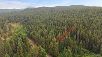 27578 Timber Trl, Conifer, CO 80433