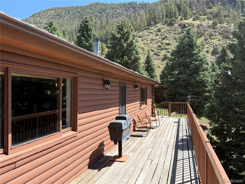 36 Woodchuck Dr, South Fork, CO 81154
