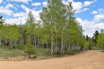 55 Aspen Way Dr, Guffey, CO 80820