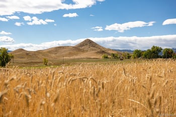 5952 Oxford Rd, Niwot, CO 80503