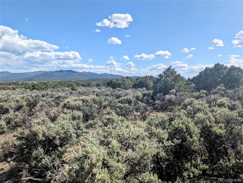 35 Acres Elk Park Rd, San Luis, CO 81152
