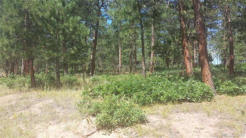 4467 Delaware Dr, Larkspur, CO 80118