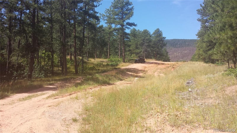 4467 Delaware Dr, Larkspur, CO 80118