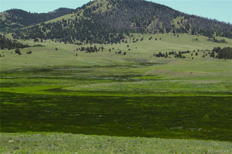 Hwy 9 , Guffey, CO 80820