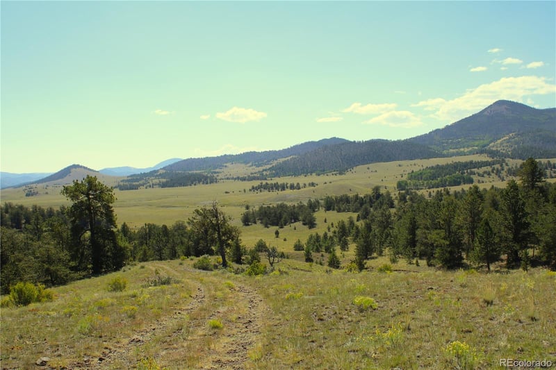 Hwy 9 , Guffey, CO 80820