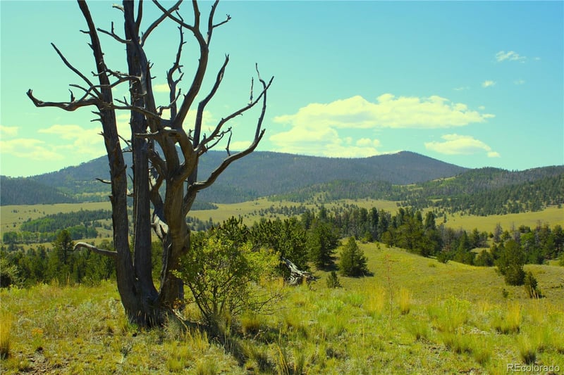 Hwy 9 , Guffey, CO 80820