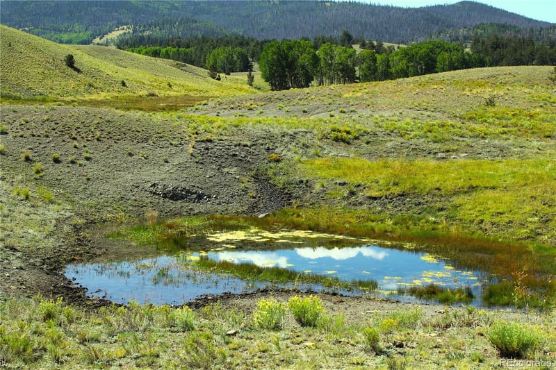 Hwy 9 , Guffey, CO 80820