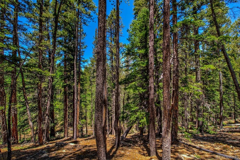 4100 Co Rd 1, Fairplay, CO 80440