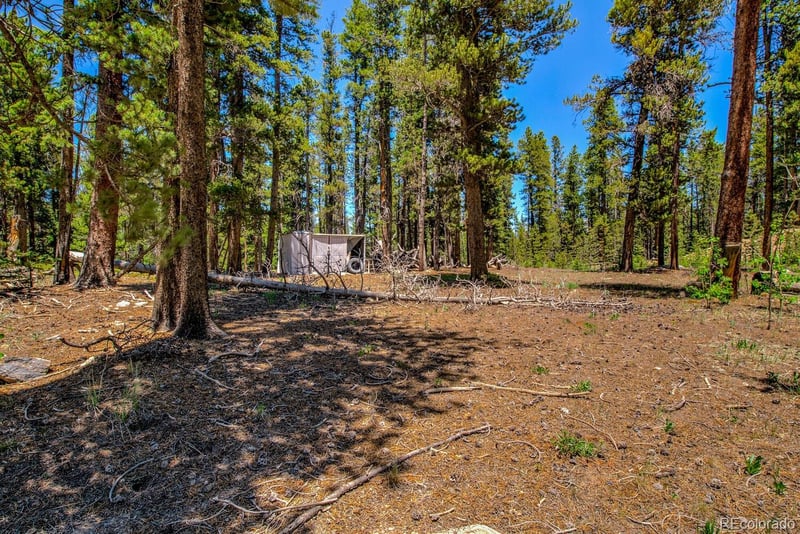 4100 Co Rd 1, Fairplay, CO 80440