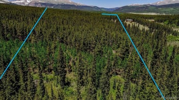 4100 Co Rd 1, Fairplay, CO 80440