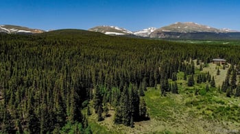 4100 Co Rd 1, Fairplay, CO 80440