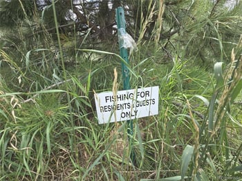 571 Wisp Creek Dr, Bailey, CO 80421