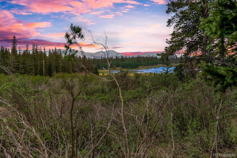 2715 County Road 14a, Alma, CO 80420