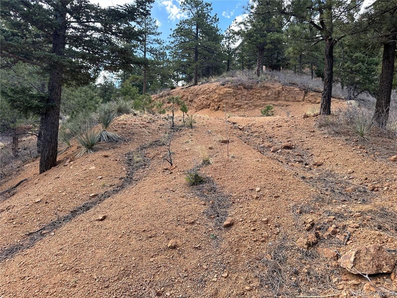 5565 Founders, Manitou Springs, CO 80829