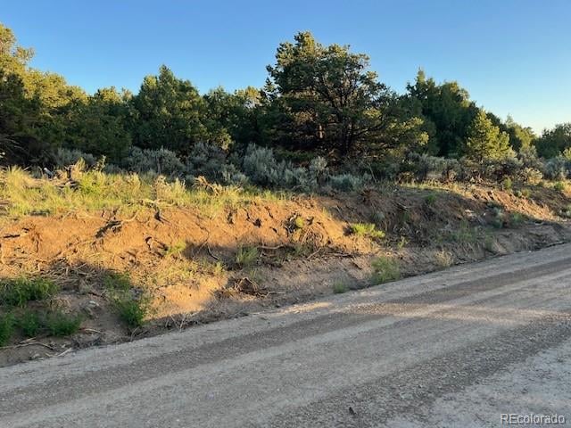 Lot 1575 Balleroy Rd, San Luis, CO 81152