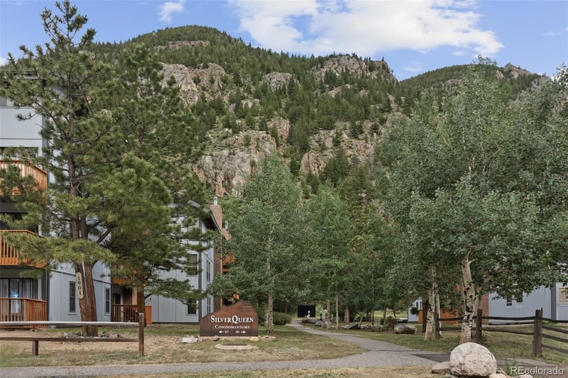 1901 Clear Creek Dr #F104, Georgetown, CO 80444