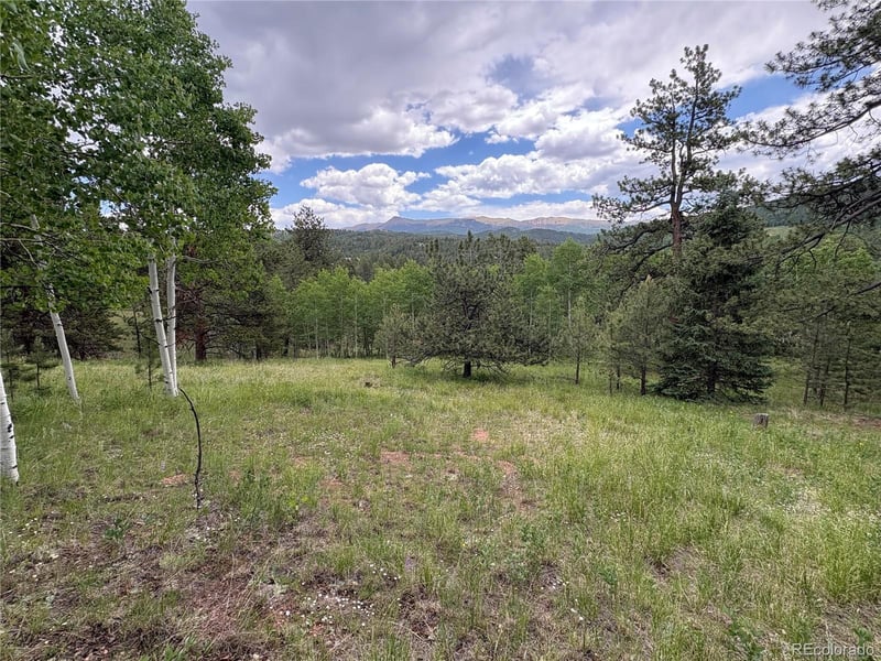 532 May Queen Dr, Cripple Creek, CO 80813