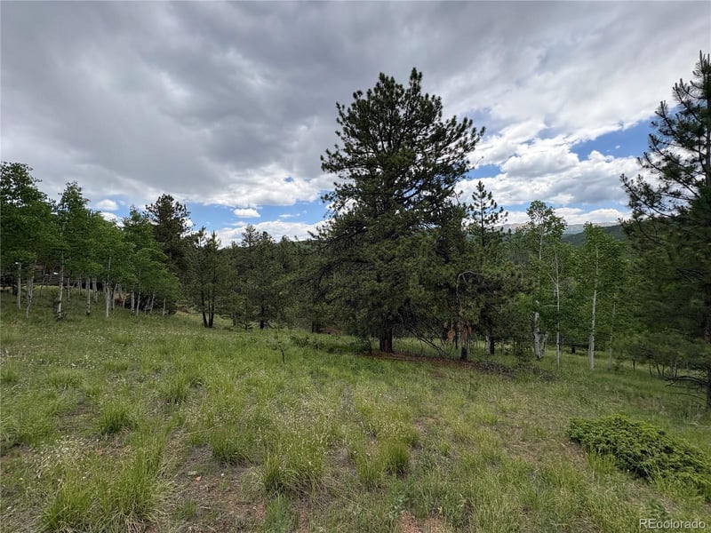 532 May Queen Dr, Cripple Creek, CO 80813