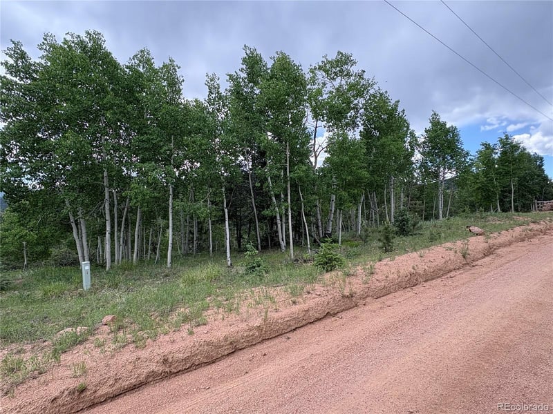 532 May Queen Dr, Cripple Creek, CO 80813