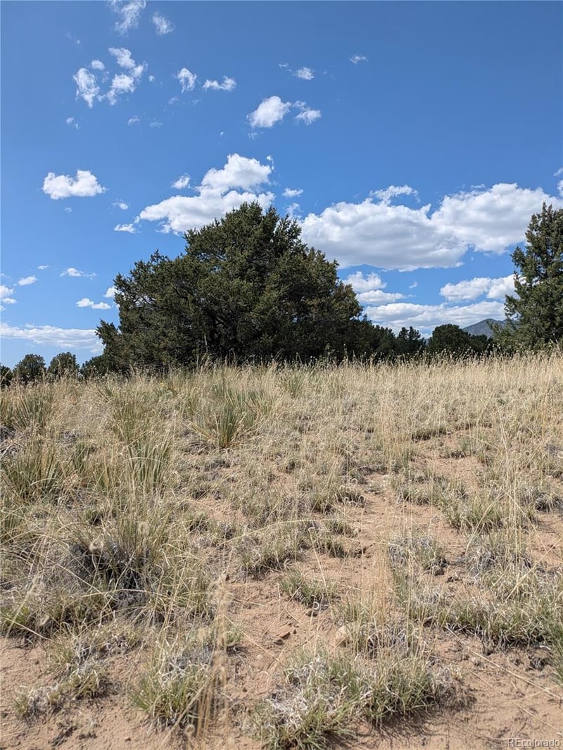 3213 Enchanted Ct, Crestone, CO 81131