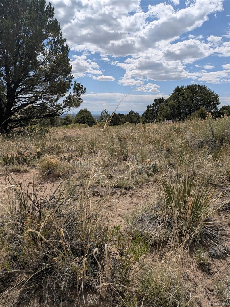 3213 Enchanted Ct, Crestone, CO 81131