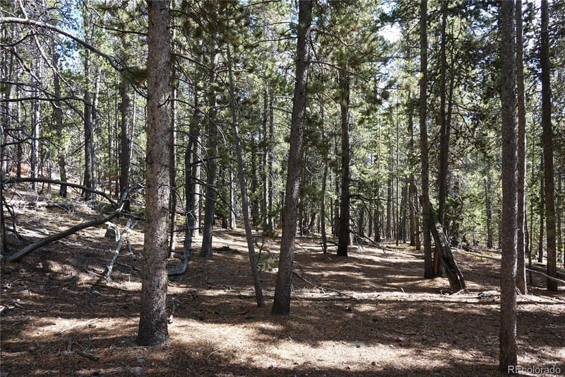 000 Loch Lomond Rd & Vista Rd, Idaho Springs, CO 80452