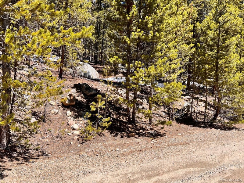 000 Loch Lomond Rd & Vista Rd, Idaho Springs, CO 80452