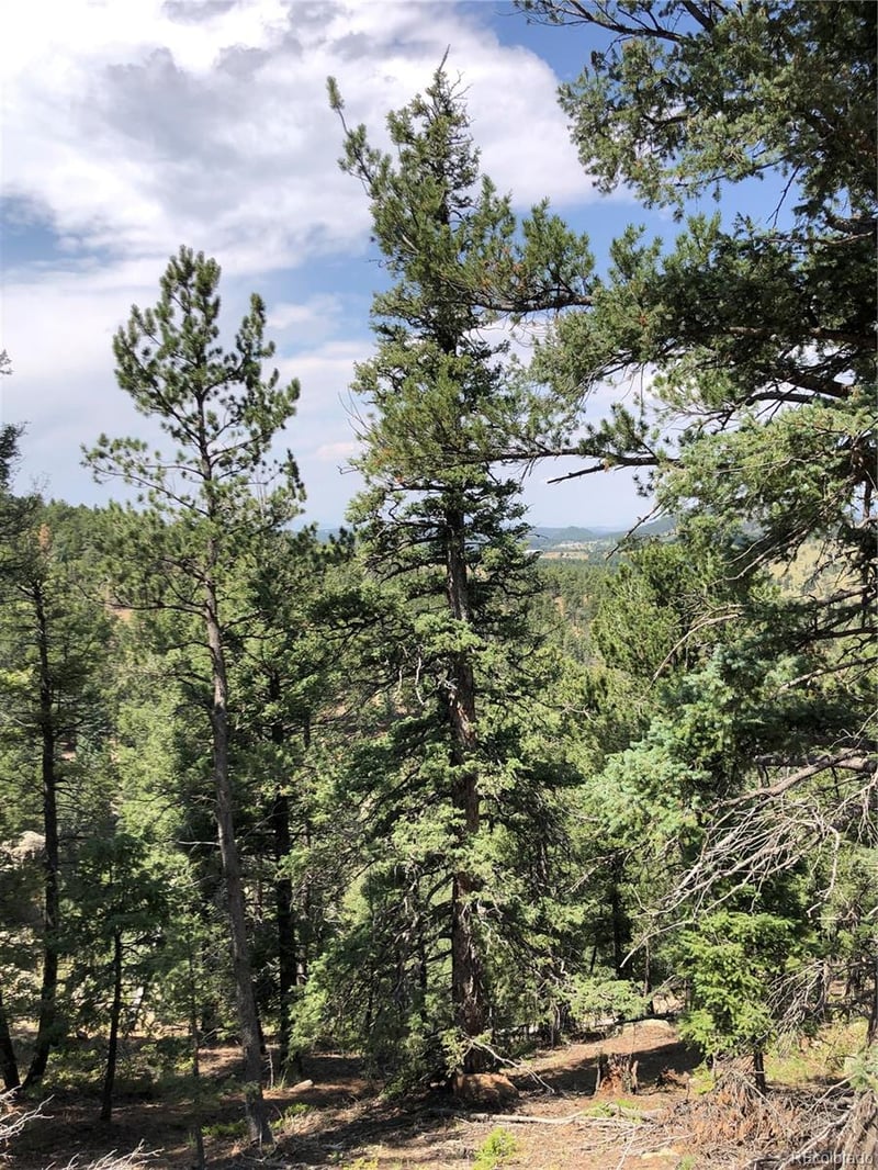 195 Osoeola Rd Lot L90 B18, Woodland Park, CO 80863