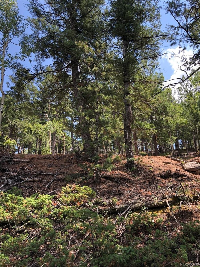 195 Osoeola Rd Lot L90 B18, Woodland Park, CO 80863