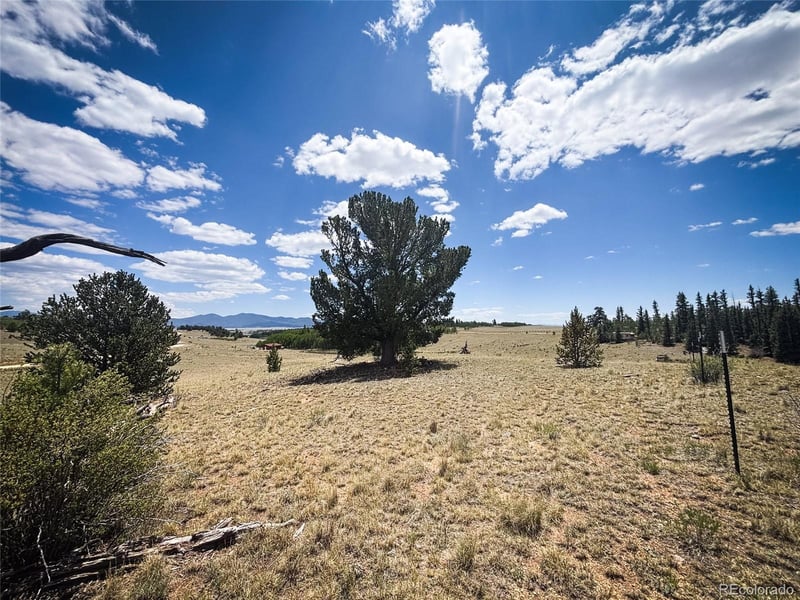 458 Remington Rd, Jefferson, CO 80432