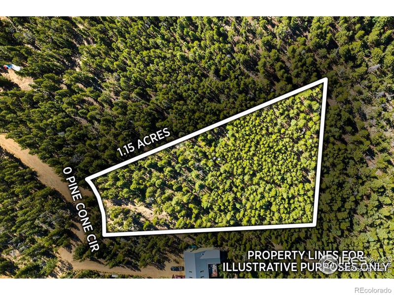 0 Pine Cone Cir, Ward, CO 80481