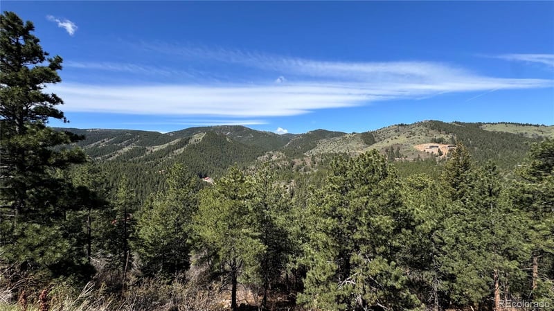 17222 Little Shadow Trl, Littleton, CO 80127