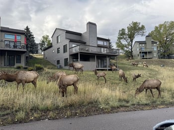 23624 Pondview Pl #G, Golden, CO 80401