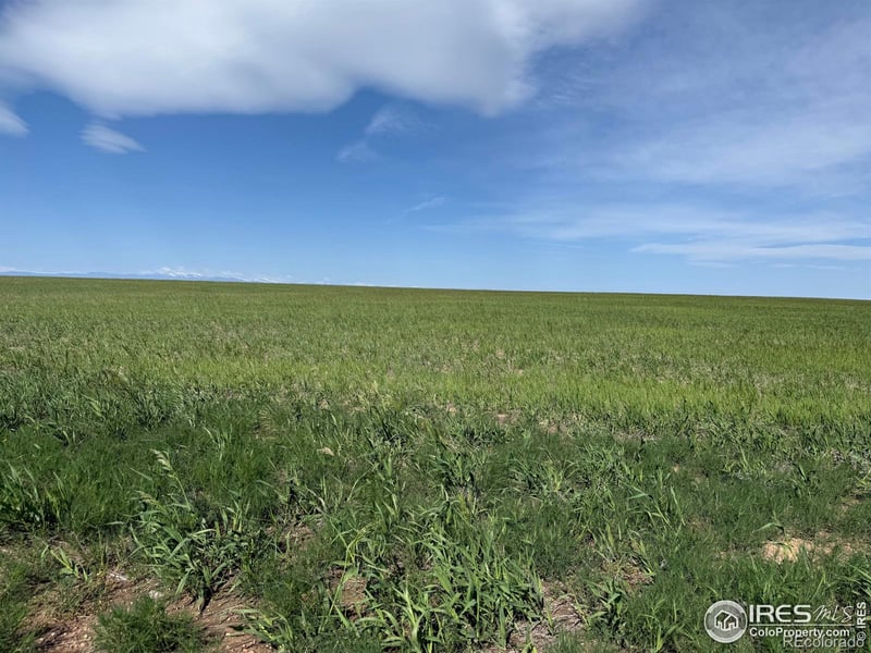 1 Tbd Ffd25 0005 Lota Co Road 15, Carr, CO 80612