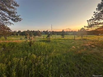 10421 Remmick Ridge Rd, Parker, CO 80134