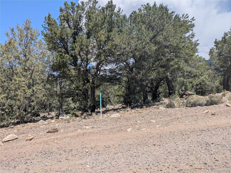 1799 Lone Pine Way, Crestone, CO 81131