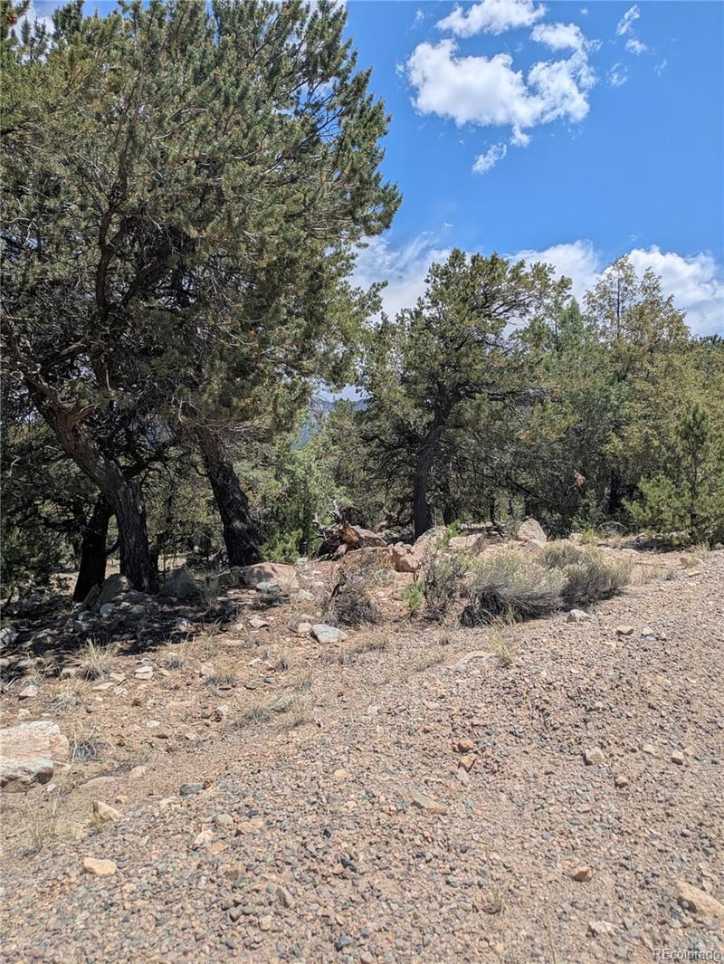 1799 Lone Pine Way, Crestone, CO 81131
