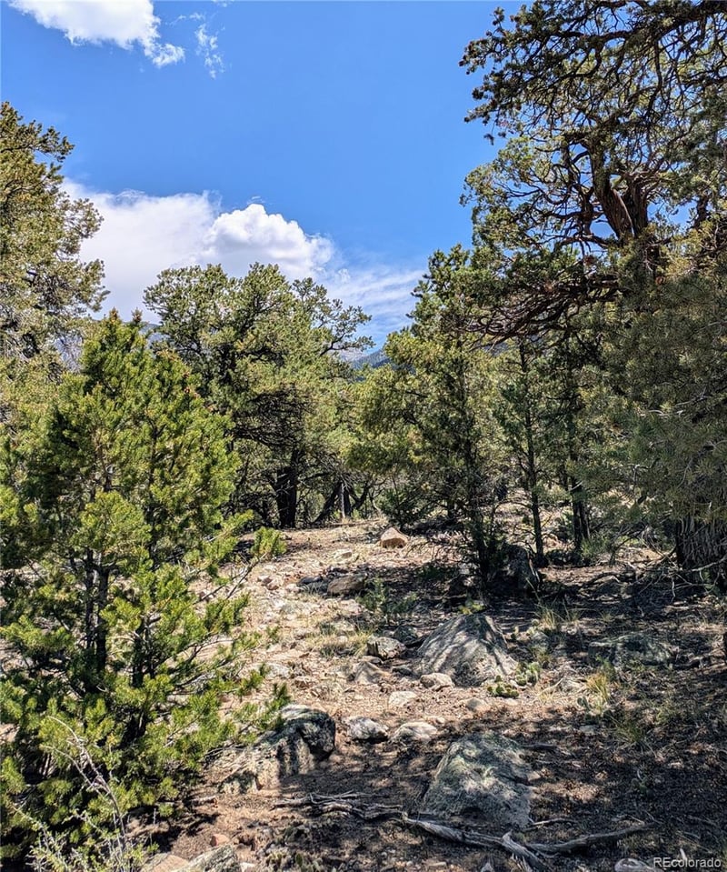1799 Lone Pine Way, Crestone, CO 81131