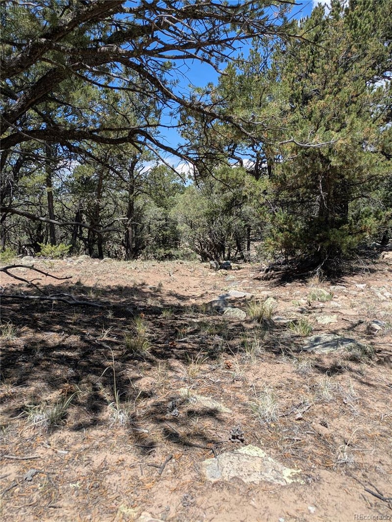 1799 Lone Pine Way, Crestone, CO 81131