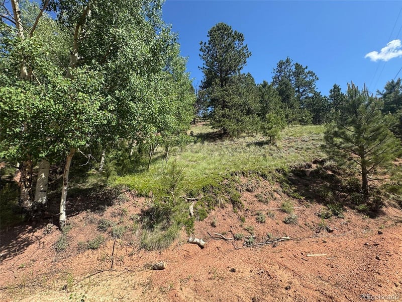 281 Pikes Peak Dr, Divide, CO 80814