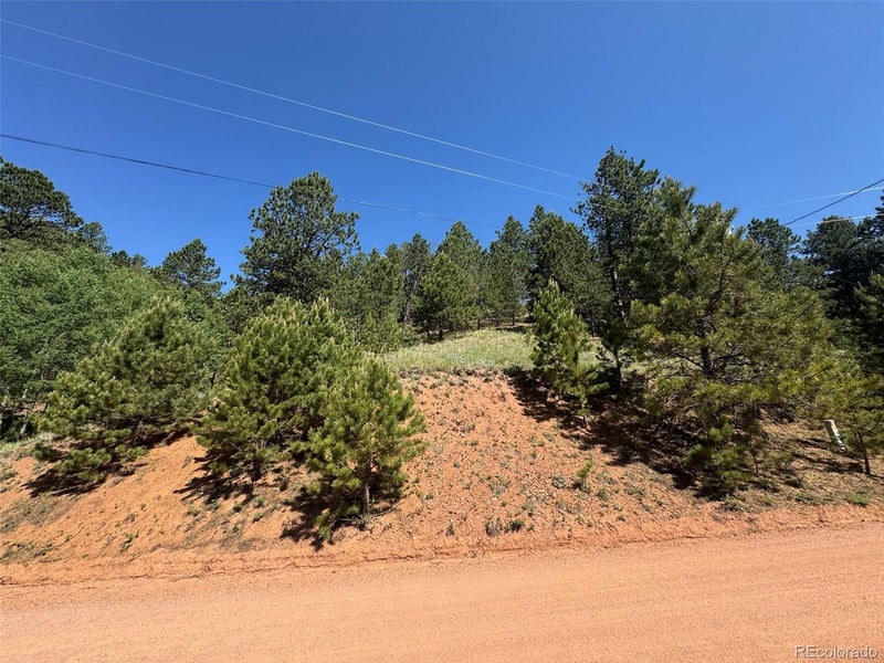 281 Pikes Peak Dr, Divide, CO 80814