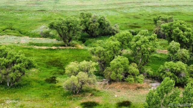 Tbd S State Highway 83, Franktown, CO 80116