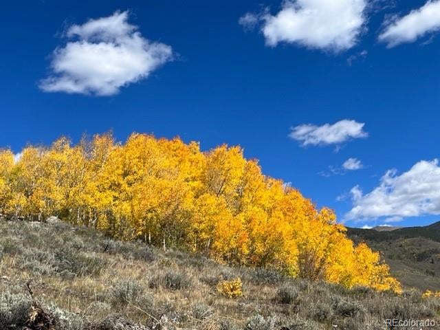 403 J Rd, Silverthorne, CO 80498