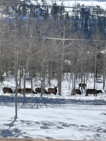 403 J Rd, Silverthorne, CO 80498