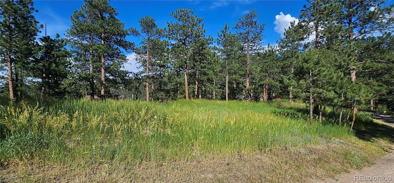 27901 Pine Dr, Evergreen, CO 80439