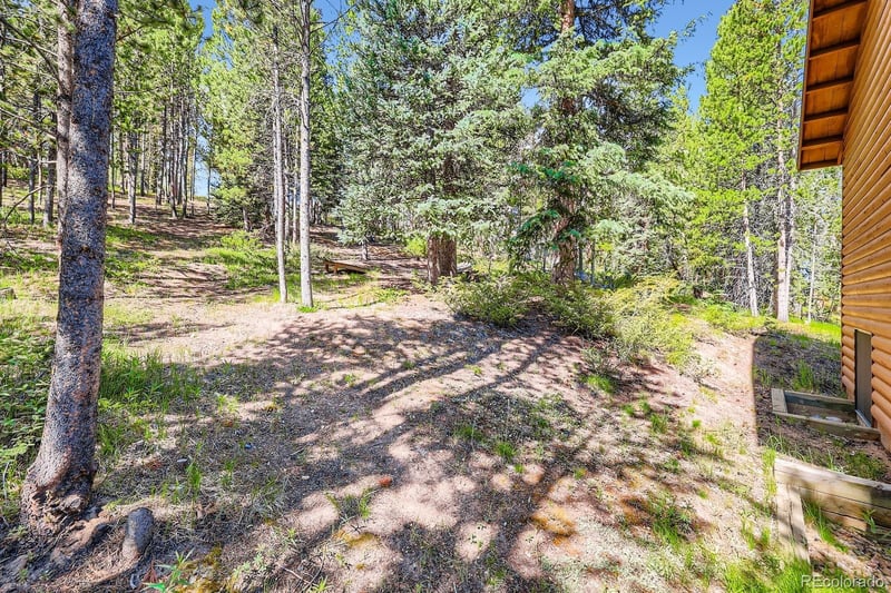 513 Vail Cir, Dillon, CO 80435