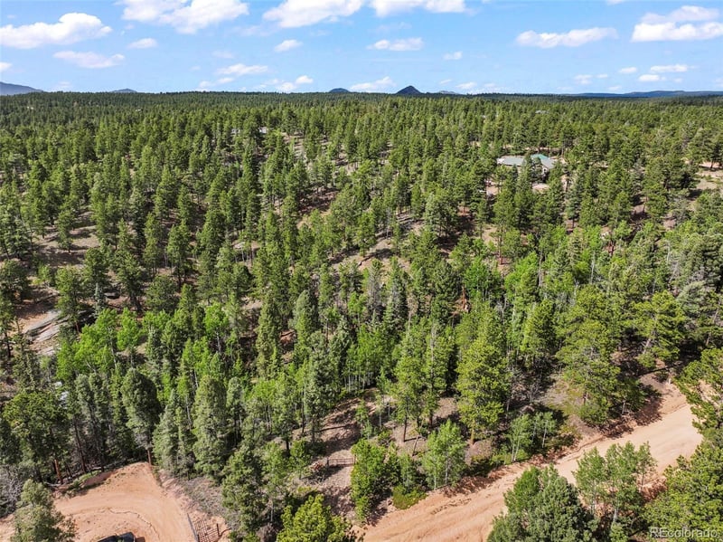 65 Spruce Creek Rd, Divide, CO 80814