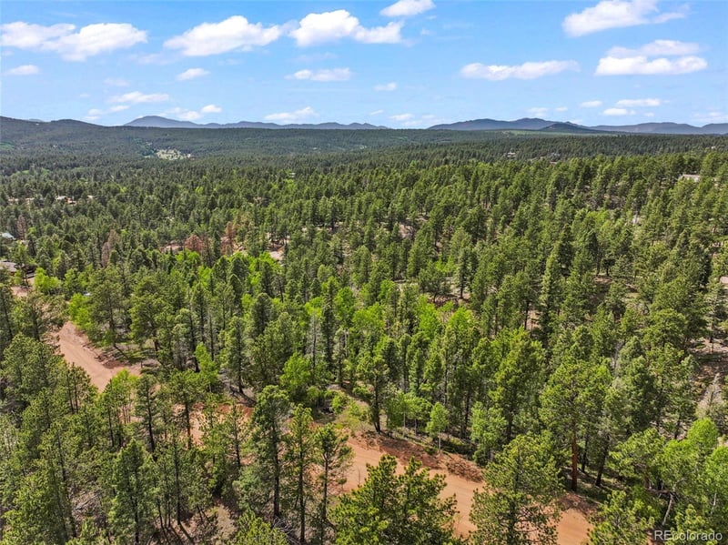 65 Spruce Creek Rd, Divide, CO 80814