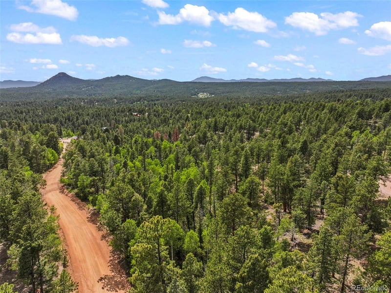 65 Spruce Creek Rd, Divide, CO 80814